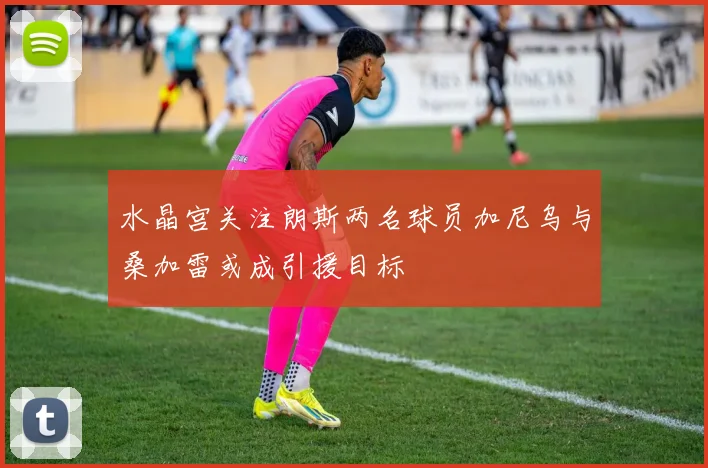 水晶宫关注朗斯两名球员加尼乌与桑加雷或成引援目标
