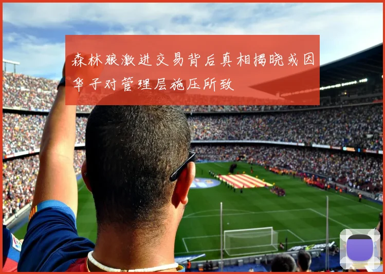 森林狼激进交易背后真相揭晓或因华子对管理层施压所致